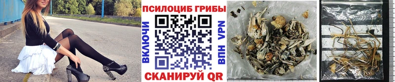 Галлюциногенные грибы мухоморы  Купить закладки  Туран 